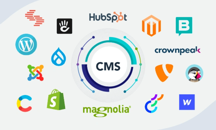 digital designers, best cms